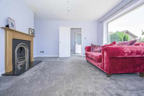 _DSC3341-Edit cop...