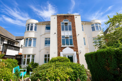Front 1.png