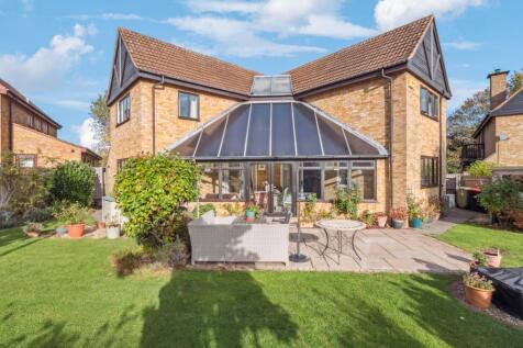 P1013224-e331f28fd31bfba0098dfec40305885d - 800px.