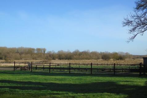 DSC00335_lge