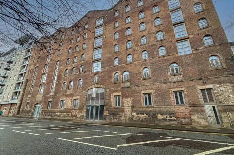 IMG 8161 T202602030804.jpg