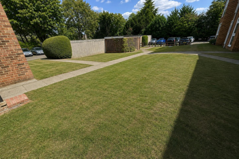 COMMUNUAL GARDEN.png