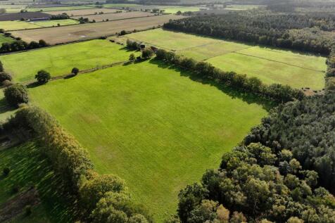 Pine Meadows Walesby 101024 (11).JPG