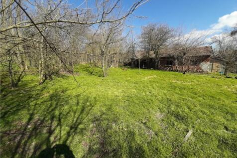 Property Image 39