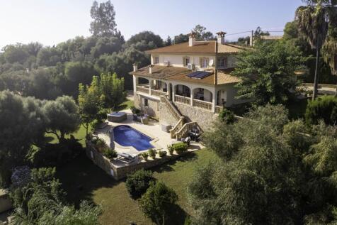 Bird view
