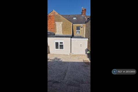 Rear Courtyard Garden