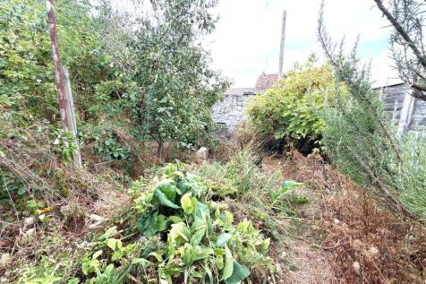 Garden.JPG