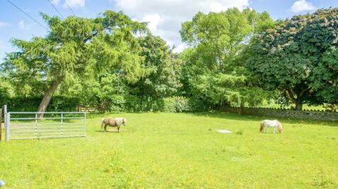 PHOTO-2024-07-20-12-50-25 (16).jpg