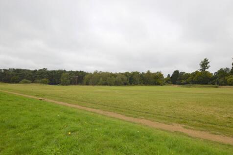 Reigate Heath