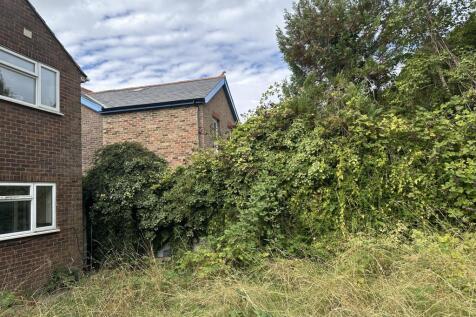 IMG 4637 T202509011412.jpeg