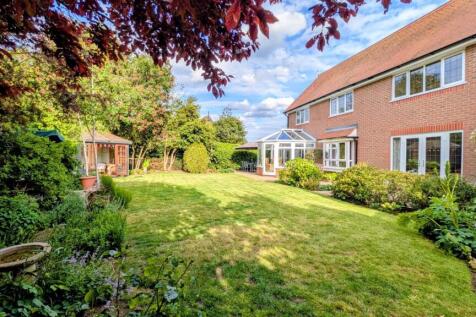 The Rear Garden
