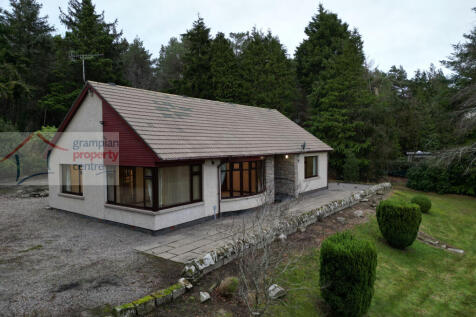 dji_fly_20251213_195104_30_1765791520709_photo