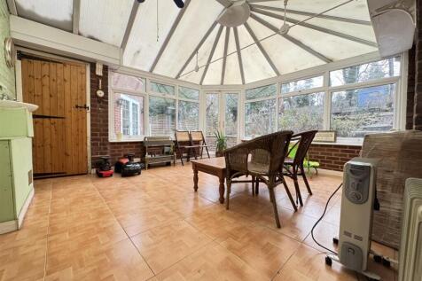 IMG_5562 (Large).JPG