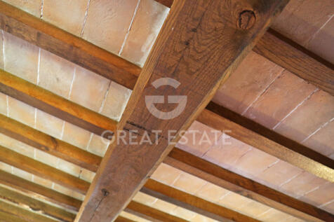 Panorama e Particolari