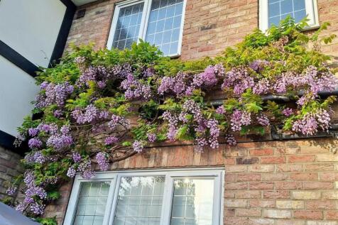 WhatsApp Image 2025-05-28 at 11.26.09_4dab5e74.jpg