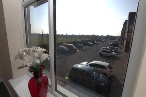 View.jpg