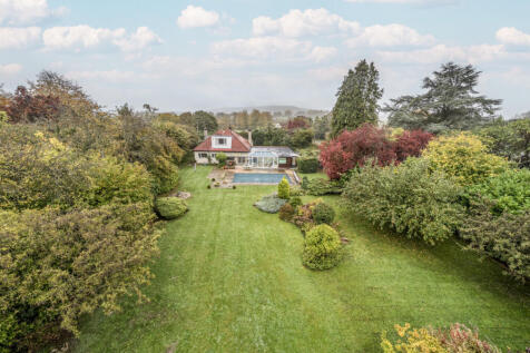 1362648268ed3c52b3d7d