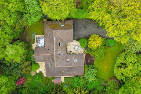 DJI_20260521184542_0163_D.jpg
