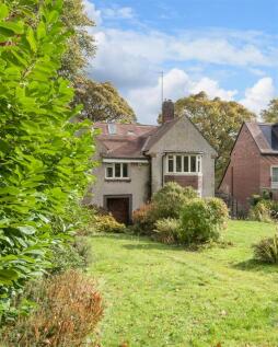 P untitled (4 of 25).jpg