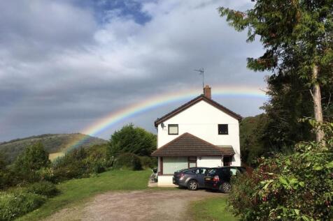 Martyn Lewsi 166 OH.jpg