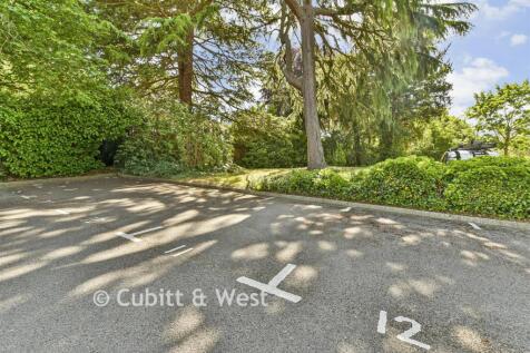 Driveway/Parking