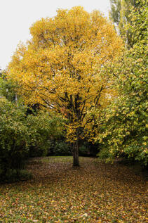 318727 - WHhr-16.jpg