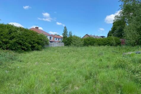 IMG 6389 T202510221045.jpeg