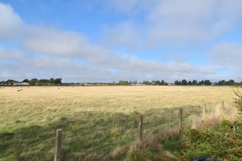 DSC_0025.JPG