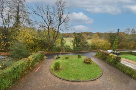DSC_0489-2.jpg
