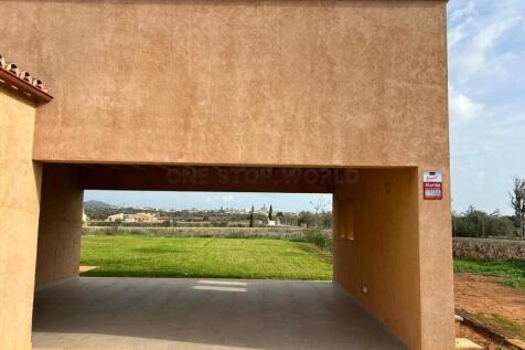 WhatsApp Image 2024-12-12 at 16.03.46