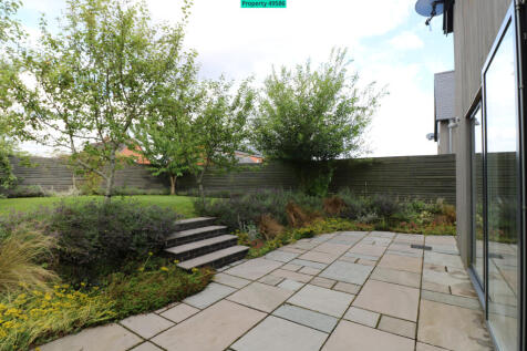 Patio view and landscaped border