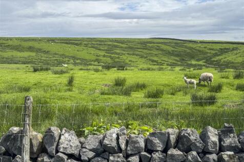 Land at Dykelands Lot 1_0023.jpg