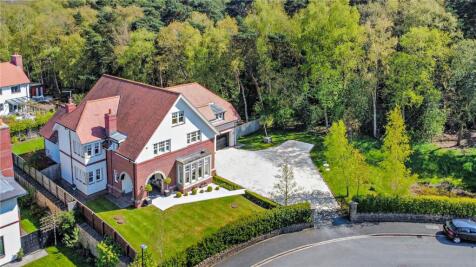 Picture No. 20