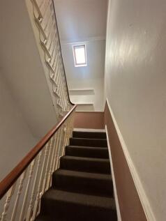 IMG_1216.jpeg