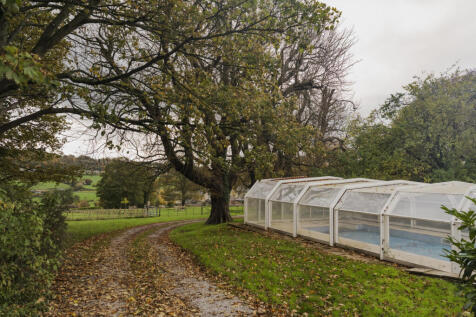 318463 - WHhr-61.jpg