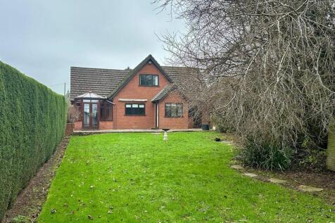 IMG_4340.jpeg