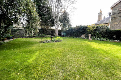 Garden d.JPG