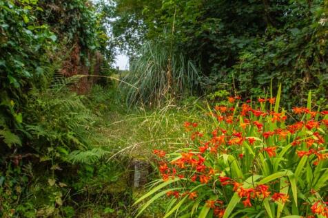 38 Lower Bore Street TPS Bodmin Branch 01208 87272