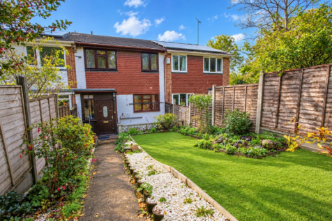 Sunny Suburban Garden and Townhouse