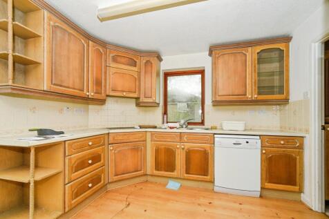 Dsc1231 T202511041118.jpg