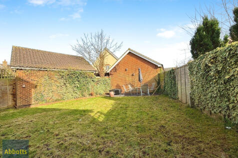 Back Garden 2