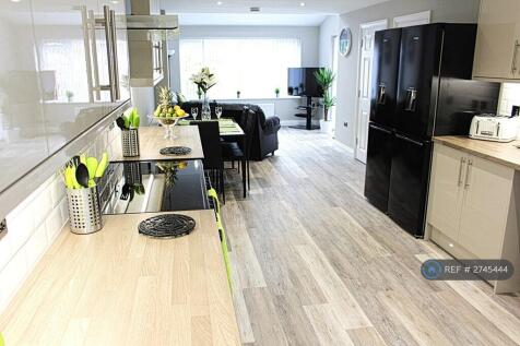 New Modern Kitchen With Everything You Could Need