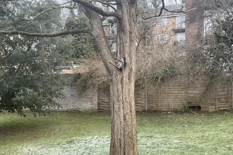 Communal Grounds