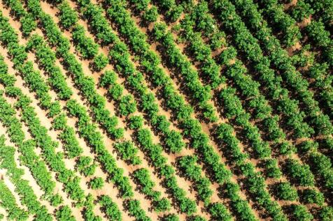 Picture No. 10