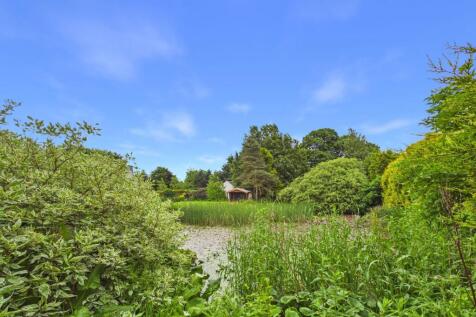 Pond