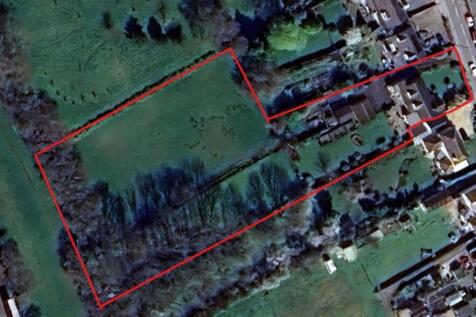 Tree Tops Plot