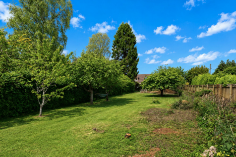Site Image