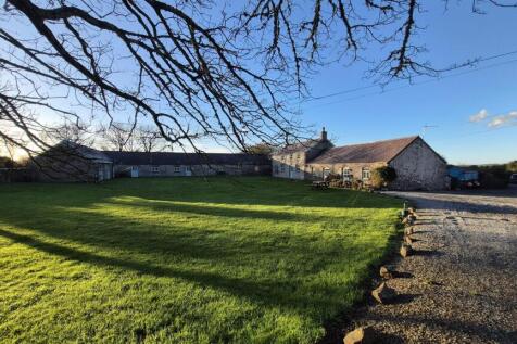 BHC Communal Garden 2.jpeg