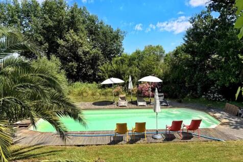 A tranquil swimming pool surrounded by trees, with