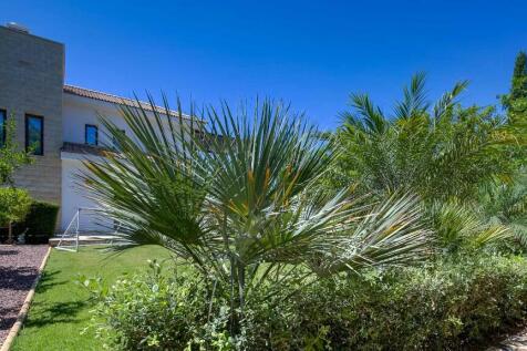 Property Image 63